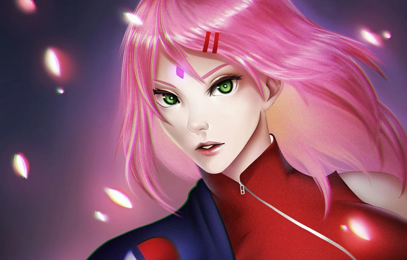 Photo wallpaper look, girl, hair, petals, sakura, Who is Sasha