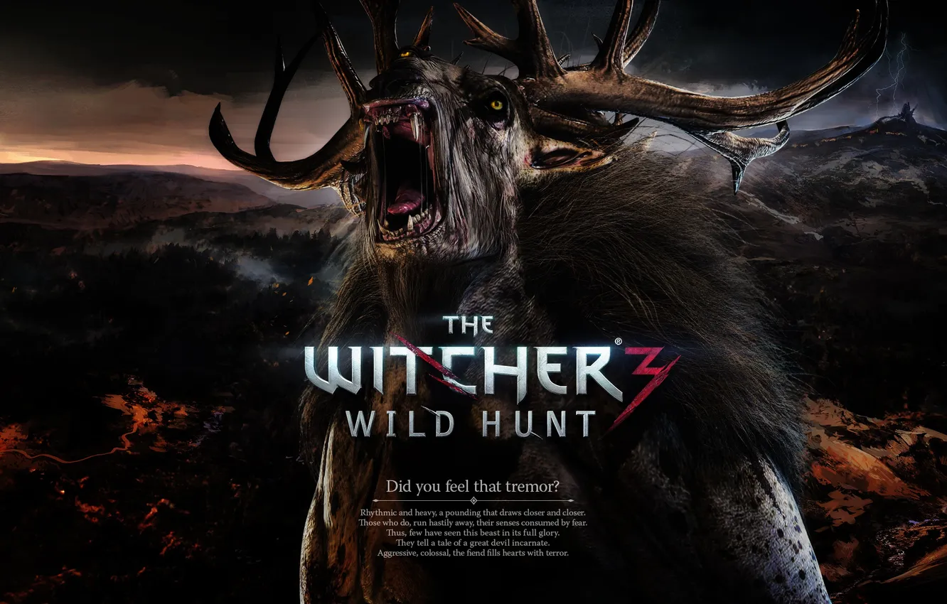 Photo wallpaper forest, deer, CD Projekt RED, The Witcher 3: Wild Hunt