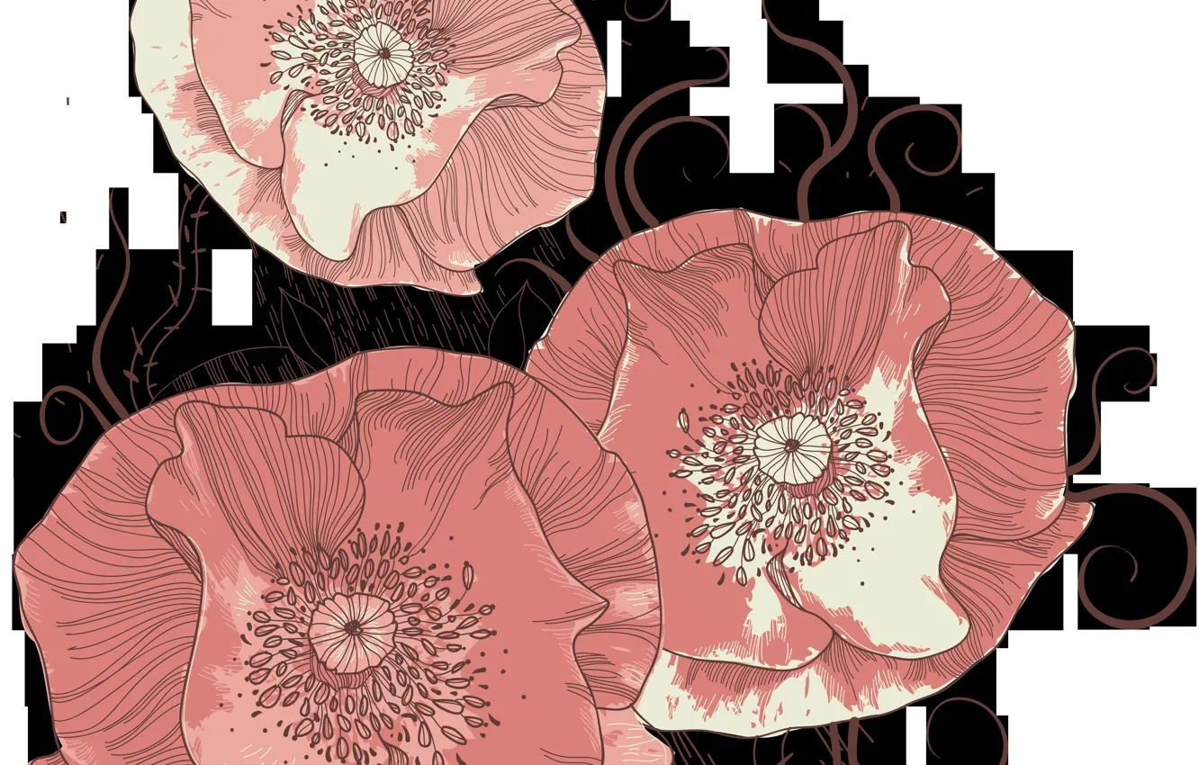 Photo wallpaper flowers, red, Maki