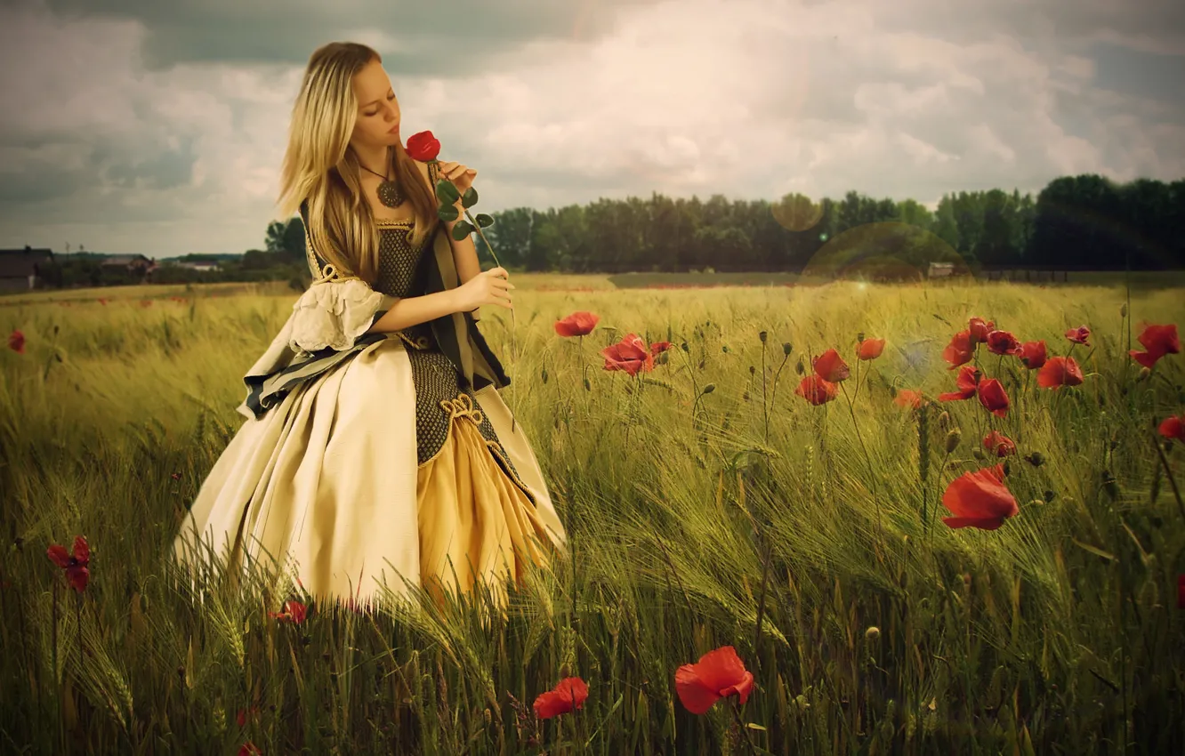 Photo wallpaper field, girl, flowers, mood, Maki, roses, dress