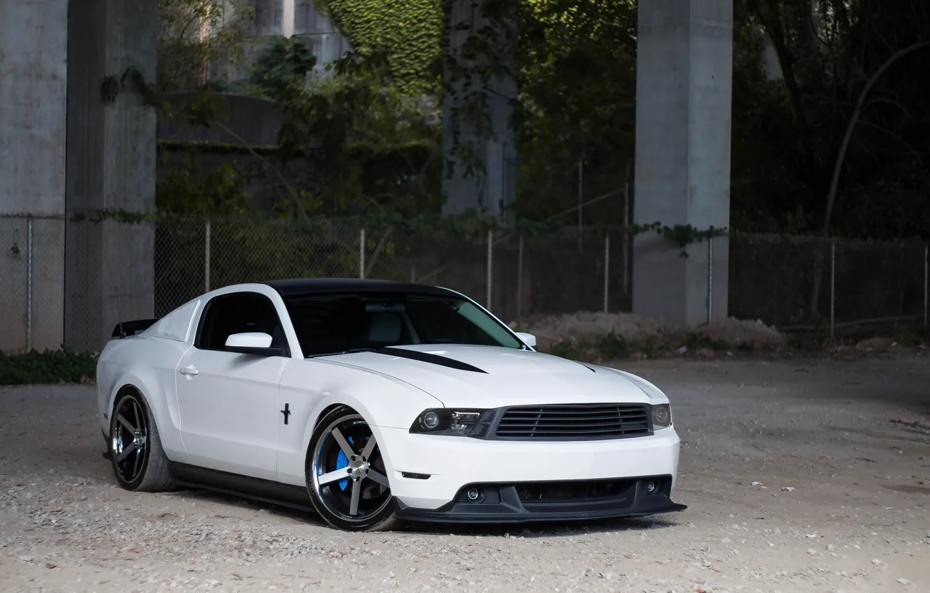 Photo wallpaper Mustang, Ford, White