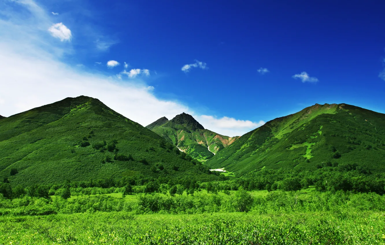 Photo wallpaper greens, the sky, grass, trees, mountains, nature
