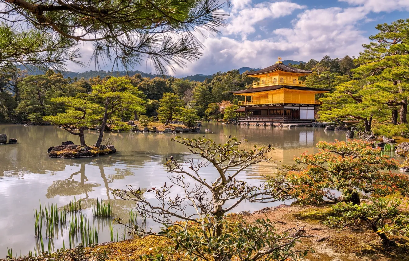 Photo wallpaper trees, lake, Park, castle, shore, Japan, Kyoto, Islands