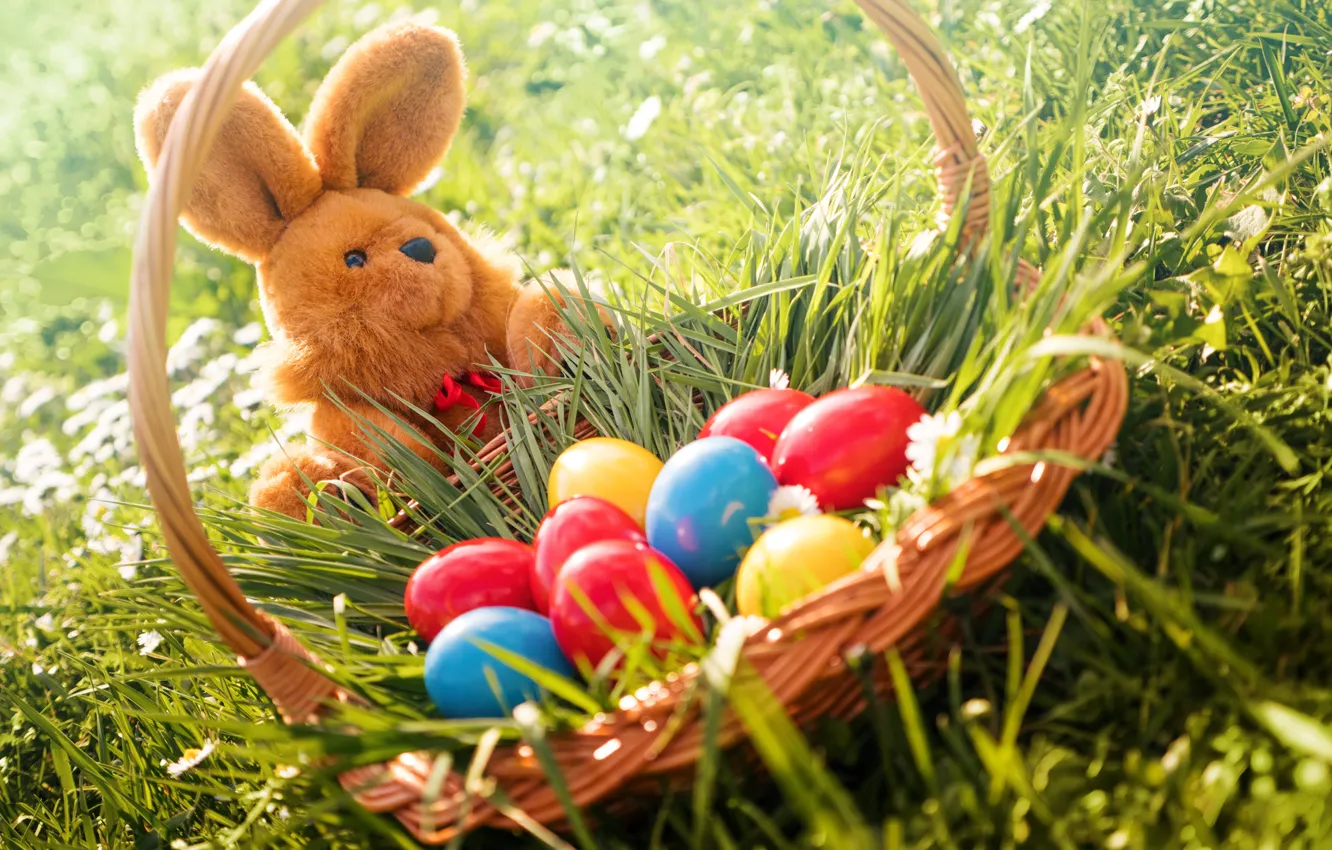 Photo wallpaper grass, flowers, basket, rabbit, Easter, flowers, spring, Easter