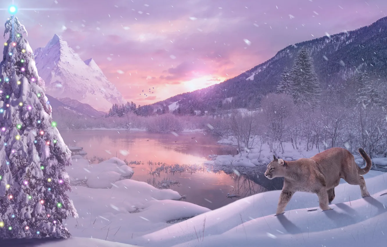 Photo wallpaper winter, forest, the sky, snow, mountains, rendering, dawn, collage