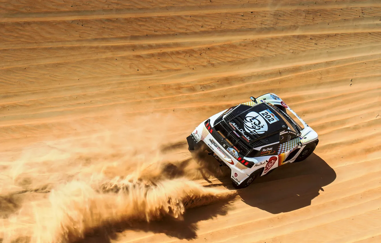 Photo wallpaper Sand, Sport, Speed, Race, Dirt, Peugeot, Lights, Red Bull