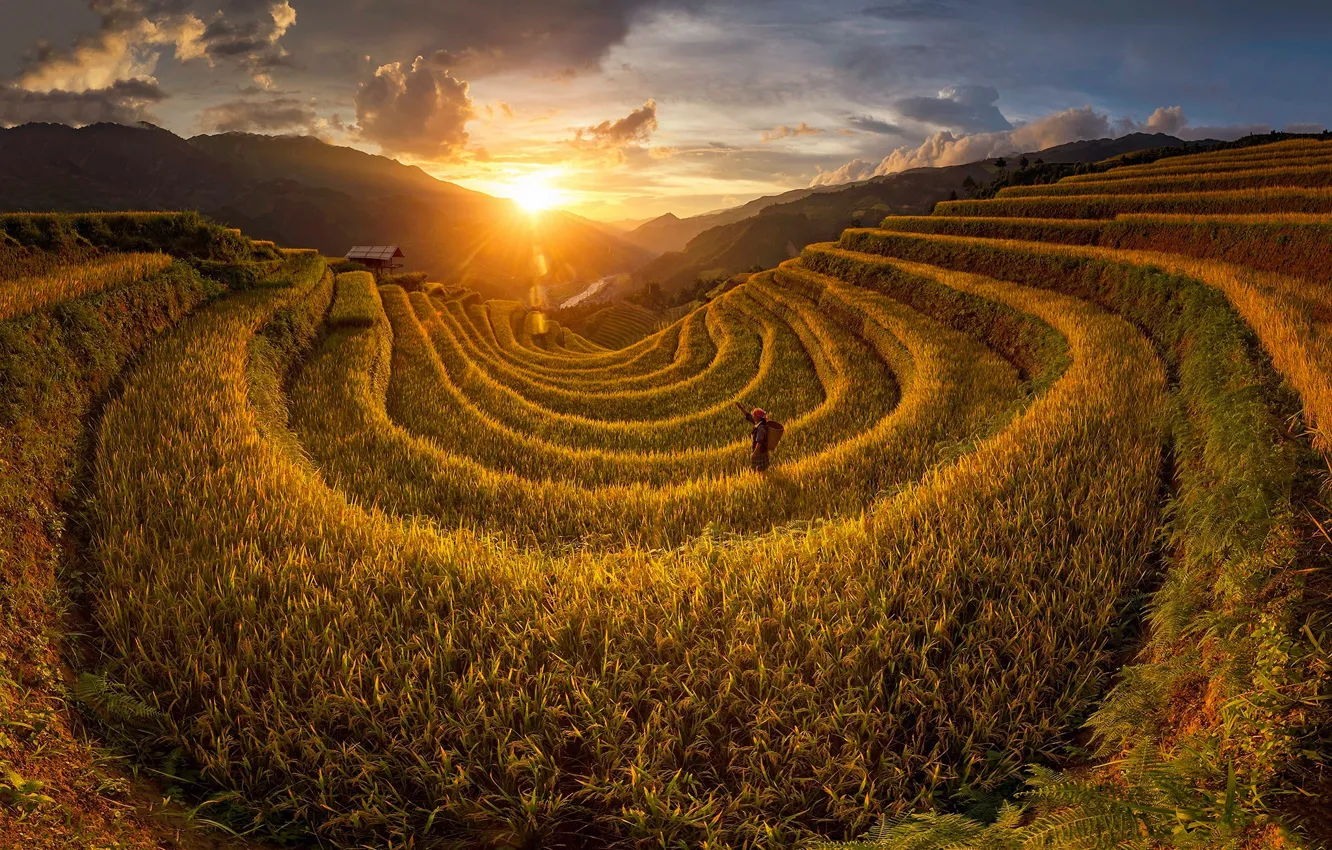 Photo wallpaper field, the sun, light, people, Vietnam