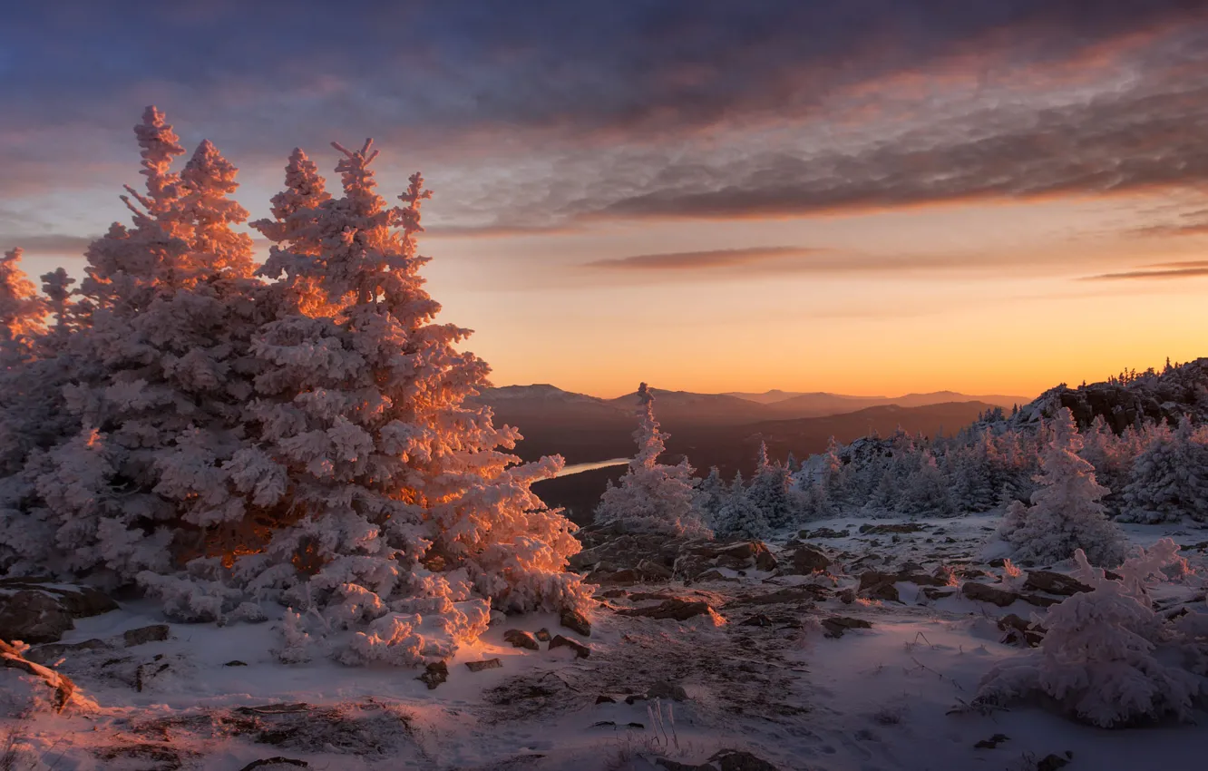 Photo wallpaper winter, frost, forest, the sky, clouds, light, snow, sunset