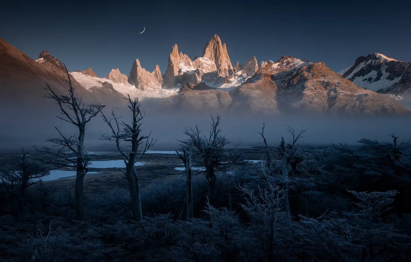 Photo wallpaper winter, frost, forest, the sky, snow, trees, mountains, night