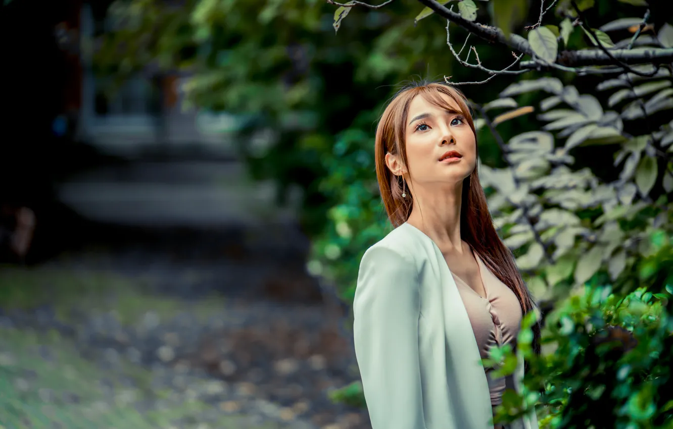 Photo wallpaper branches, brown hair, Asian, jacket, bokeh