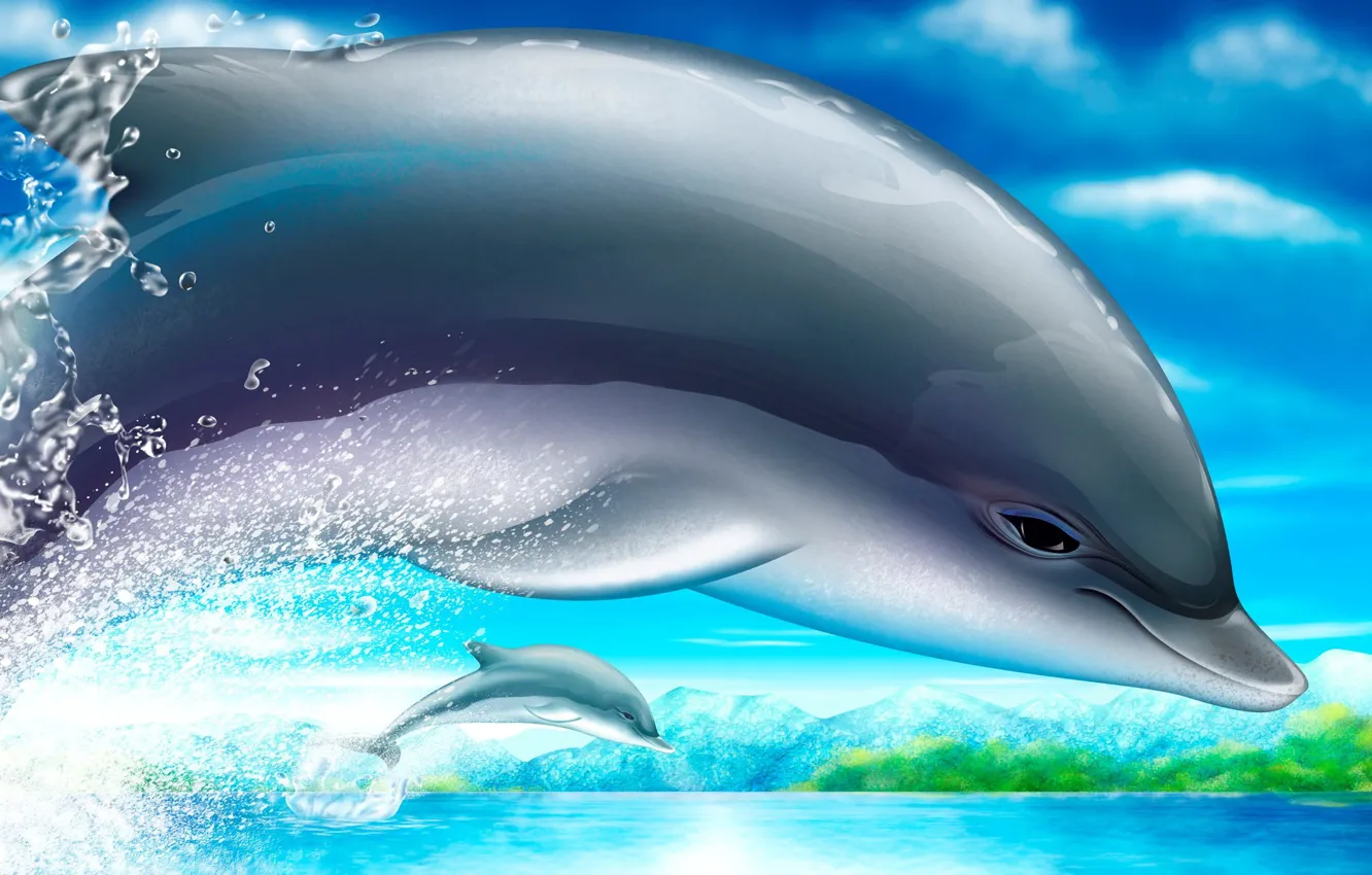 Photo wallpaper figure, Dolphin