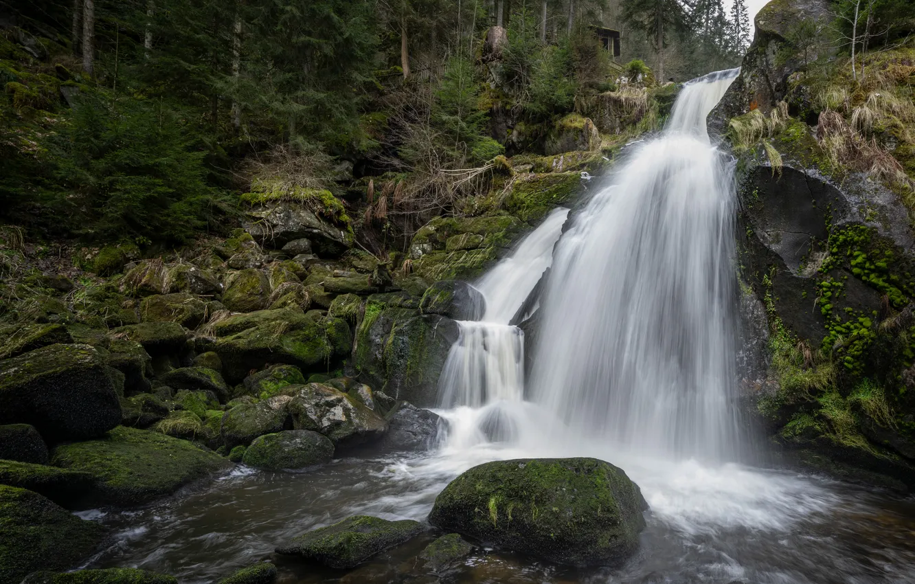 Photo wallpaper forest, stones, waterfall, moss, river