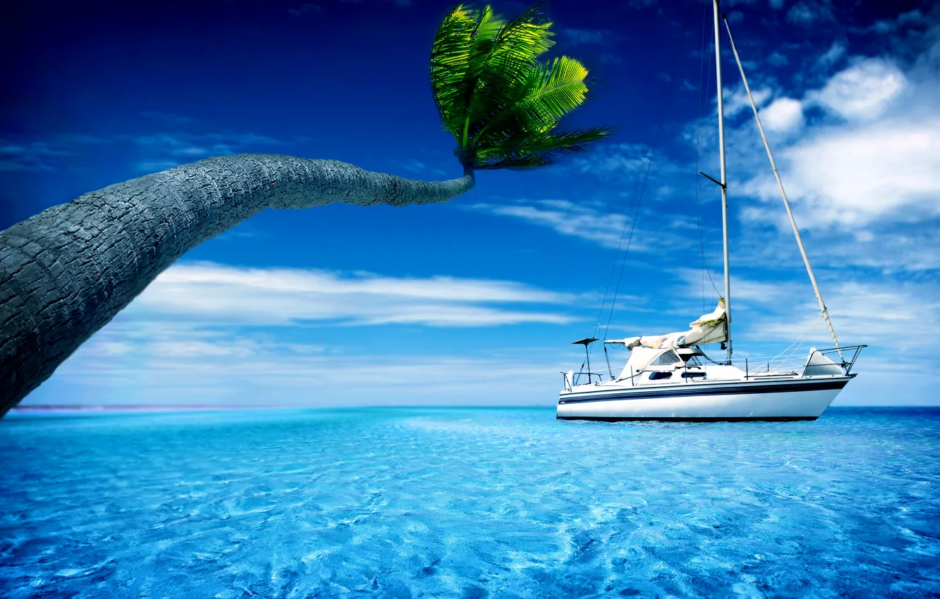 Photo wallpaper summer, the sky, water, Palma, palm trees, boat, heat, yachts