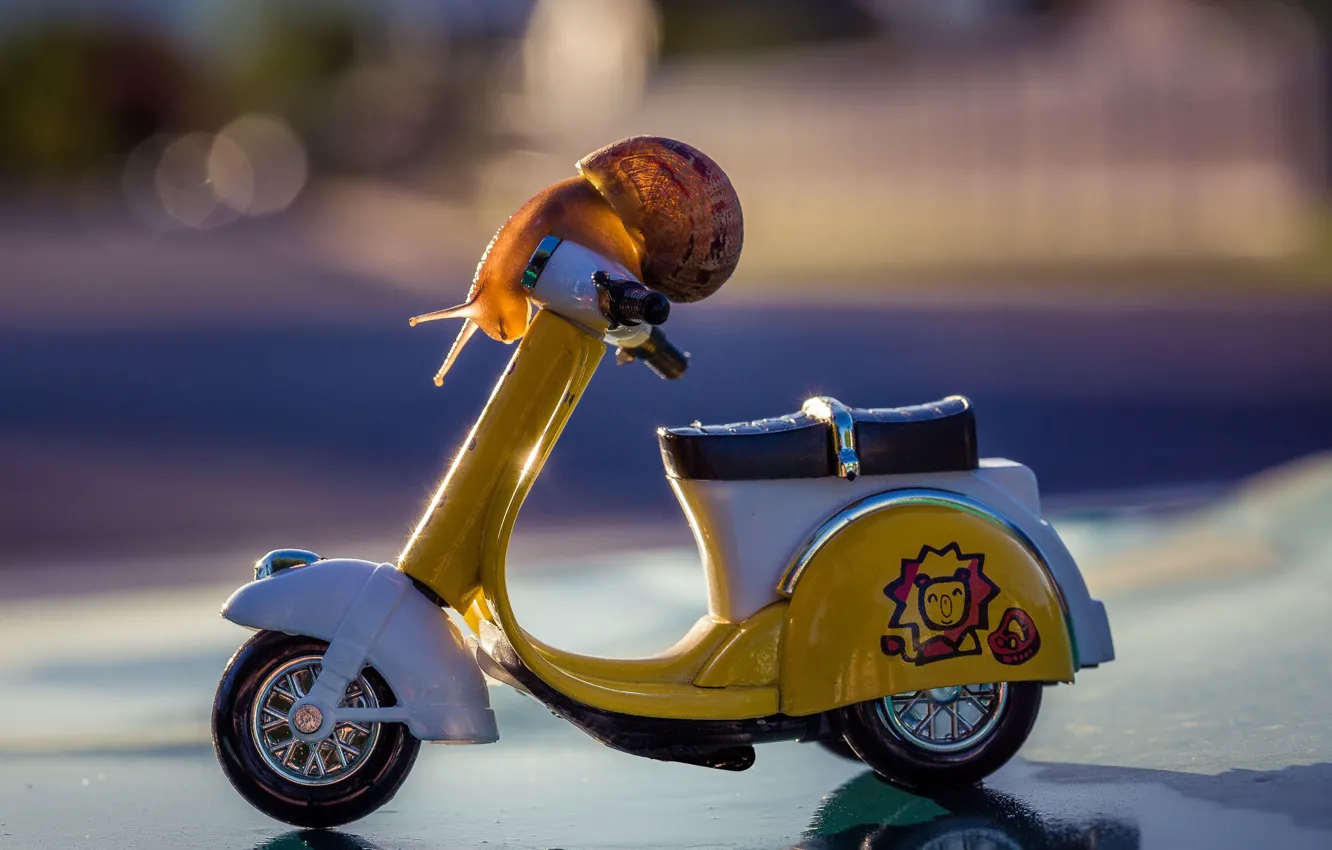 Photo wallpaper road, macro, light, background, street, toy, snail, moped