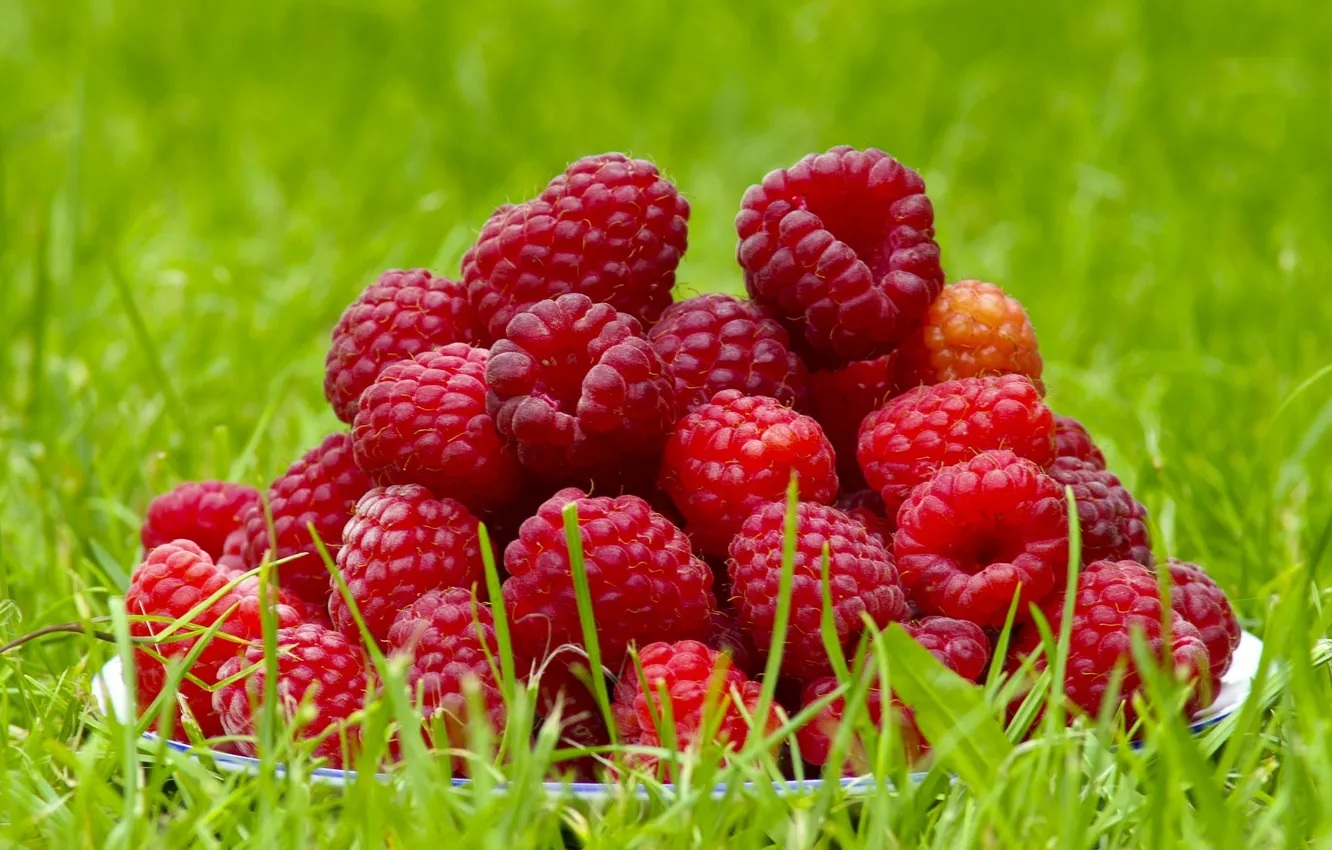 Photo wallpaper summer, berries, raspberry