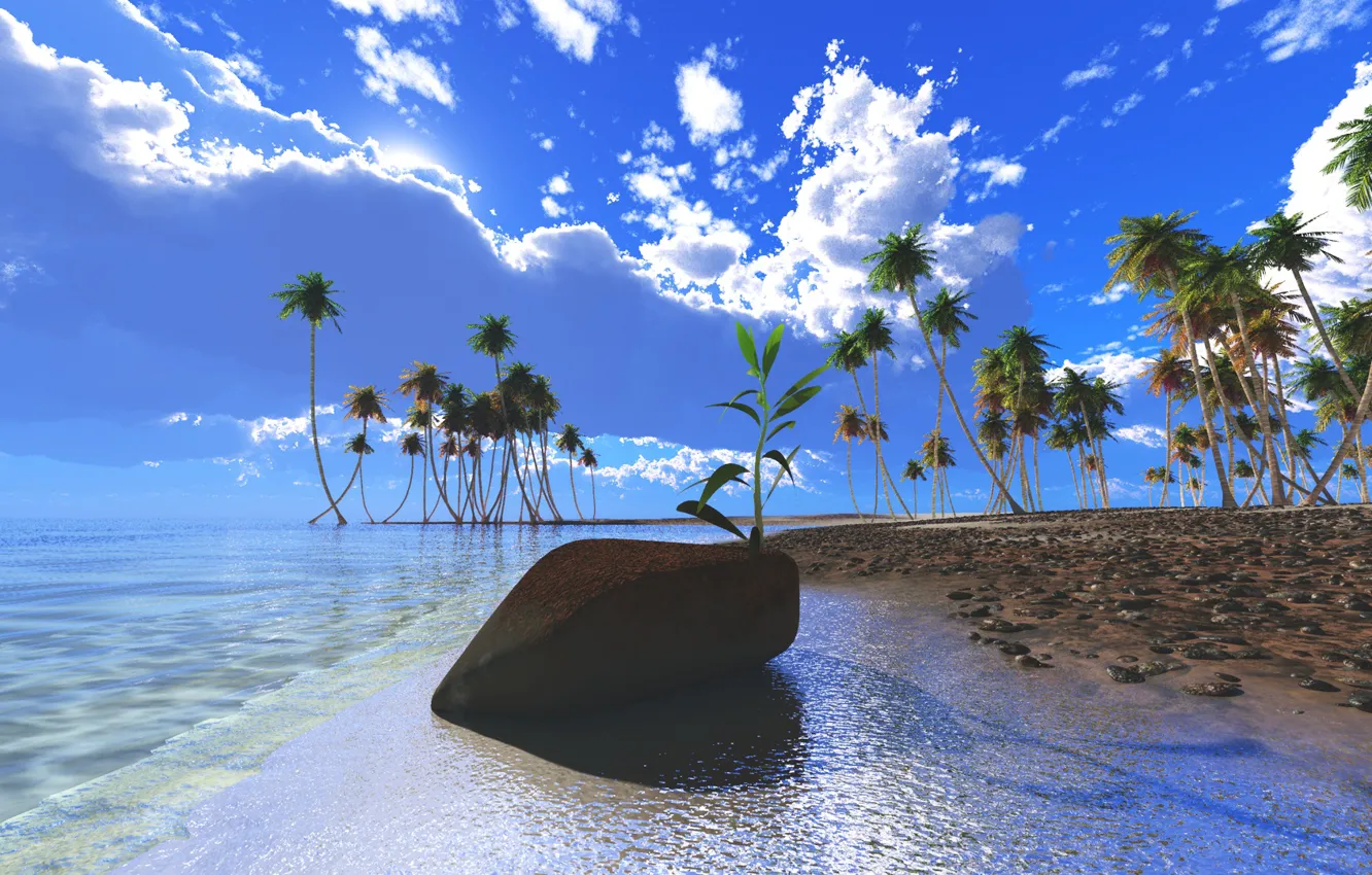 Photo wallpaper beach, the sky, palm trees, the ocean