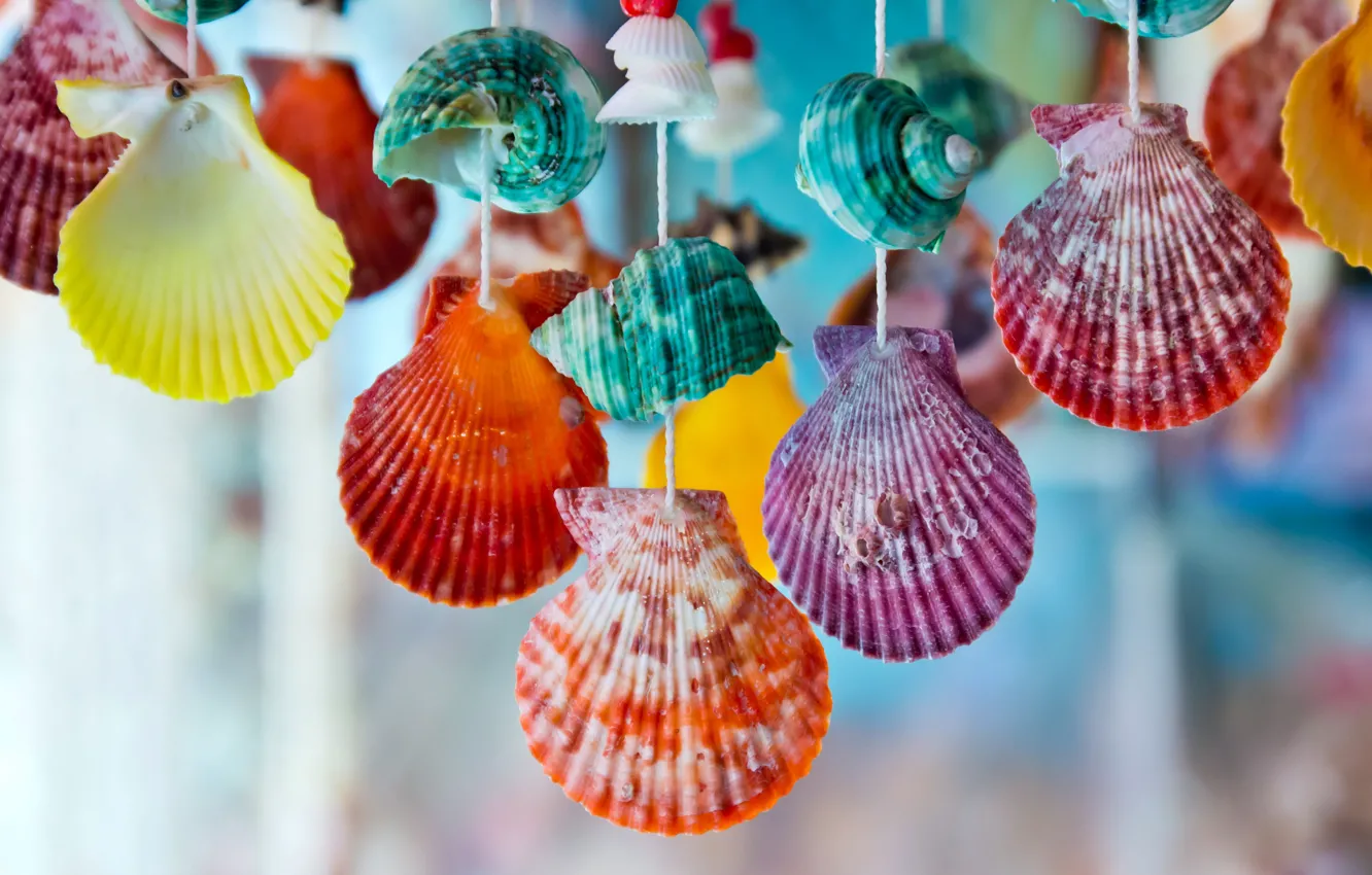 Photo wallpaper colorful, shell, marine, seashells