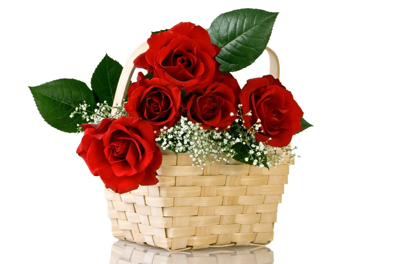Photo wallpaper flowers, red, nature, basket, roses, bouquet, basket