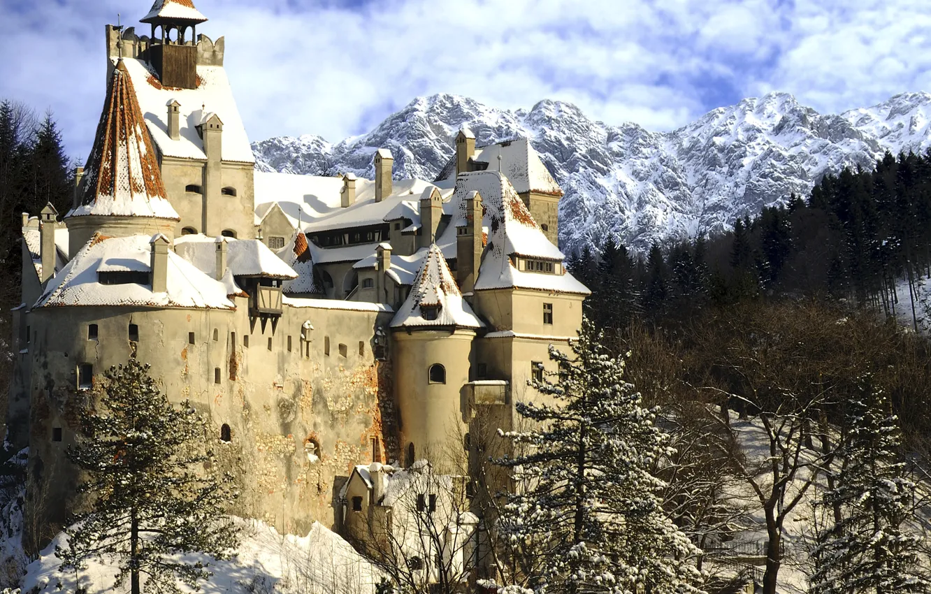 Photo wallpaper winter, snow, mountains, the city, photo, castle, spruce, Romania