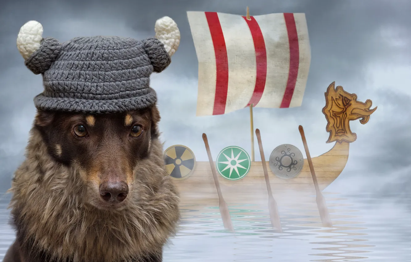 Photo wallpaper hat, ship, sailboat, dog, computer design