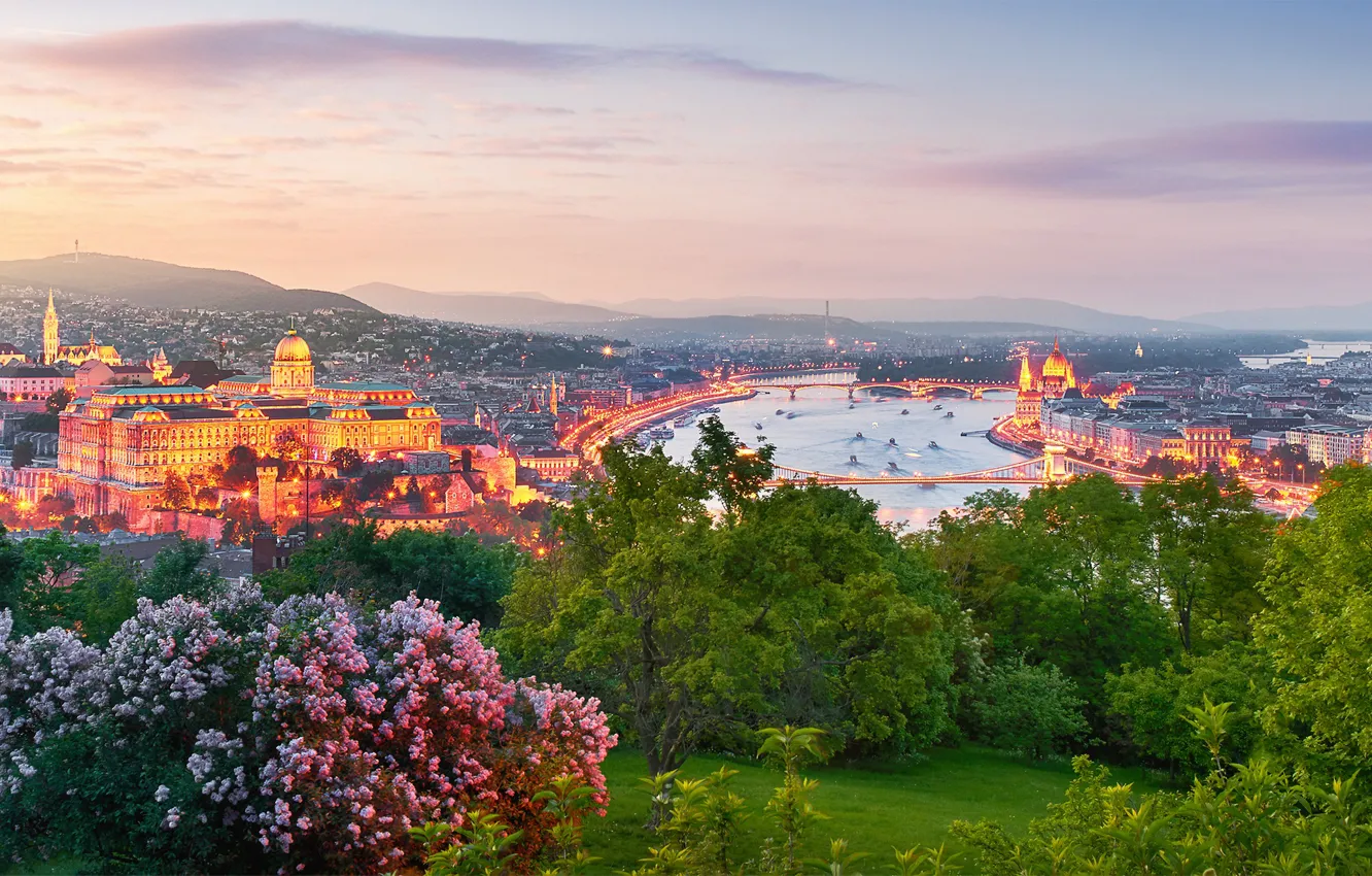 Photo wallpaper bridge, the city, lights, river, spring, the evening, Hungary, Budapest