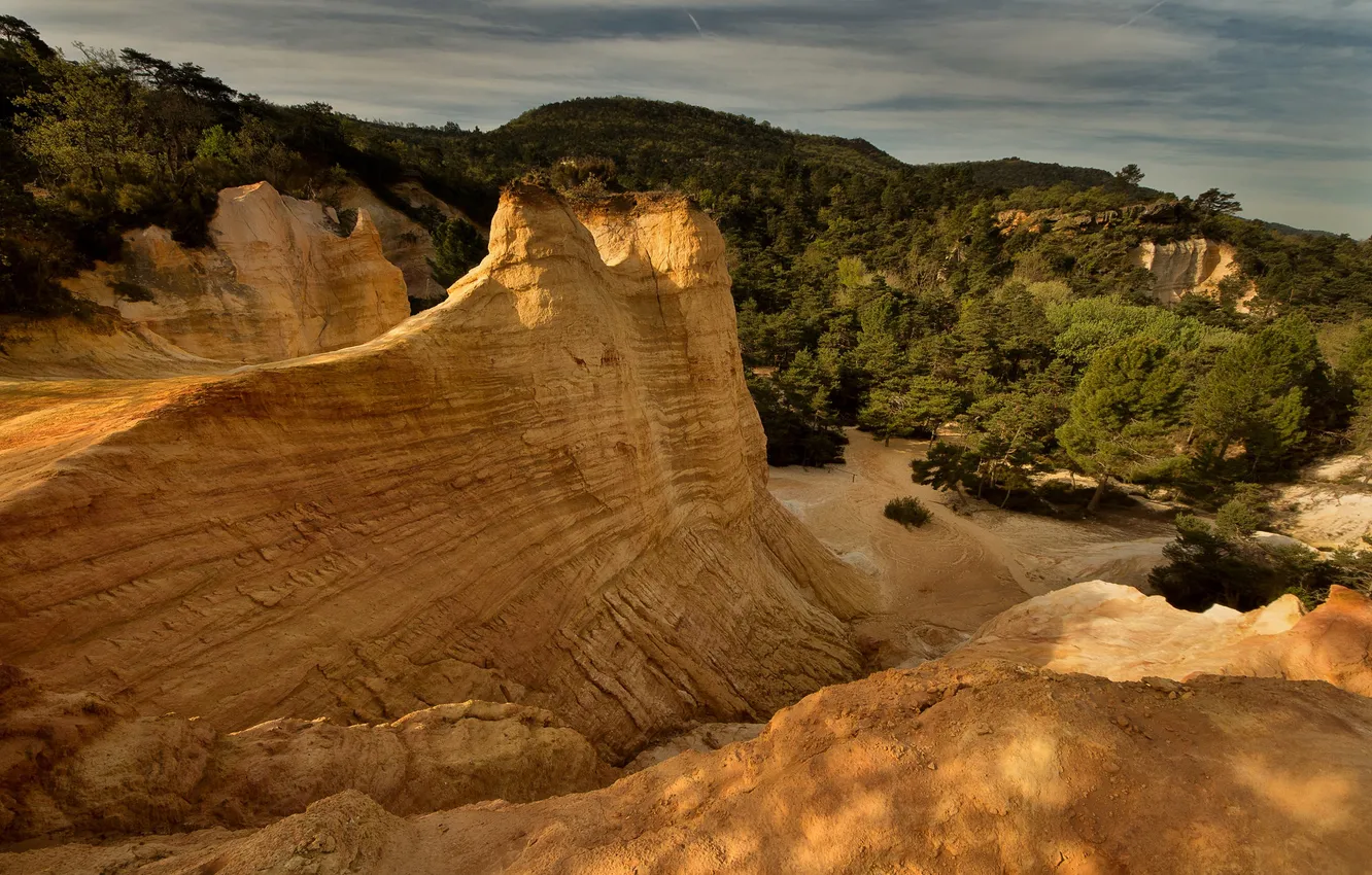 Photo wallpaper forest, the sky, trees, landscape, mountains, rocks