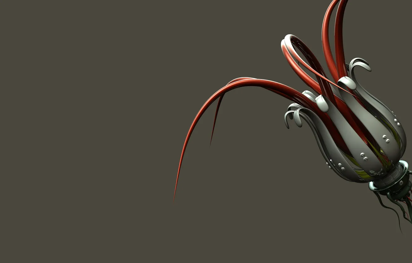 Photo wallpaper flowers, buds, iron