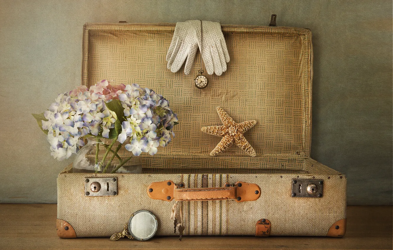 Photo wallpaper texture, gloves, suitcase, starfish, hydrangea