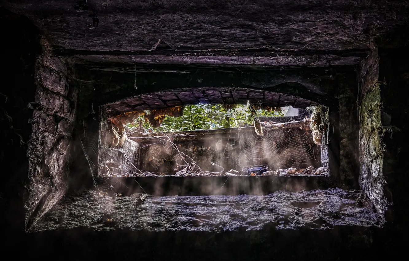 Photo wallpaper web, window, the basement