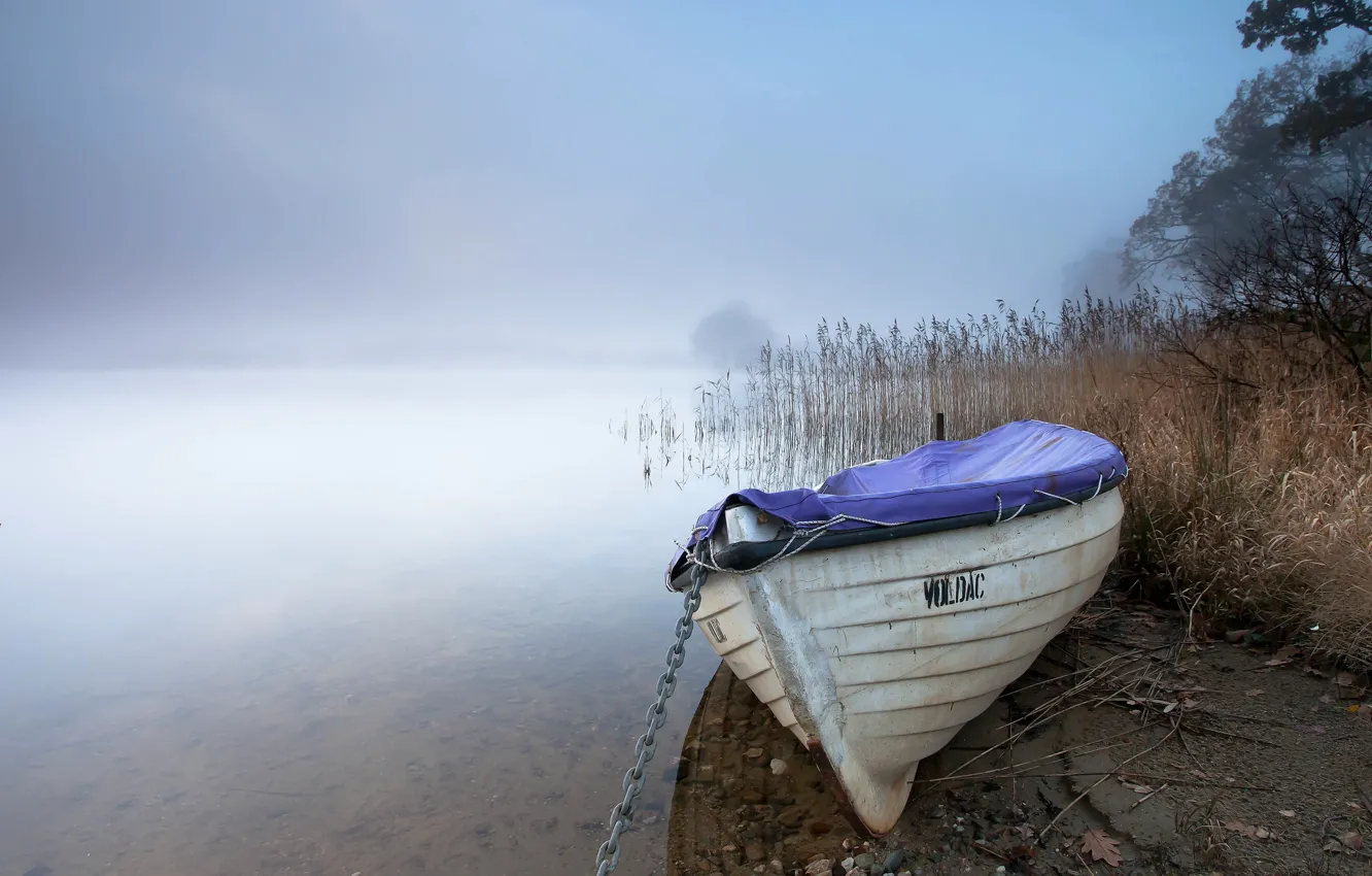Photo wallpaper fog, lake, boat, reed