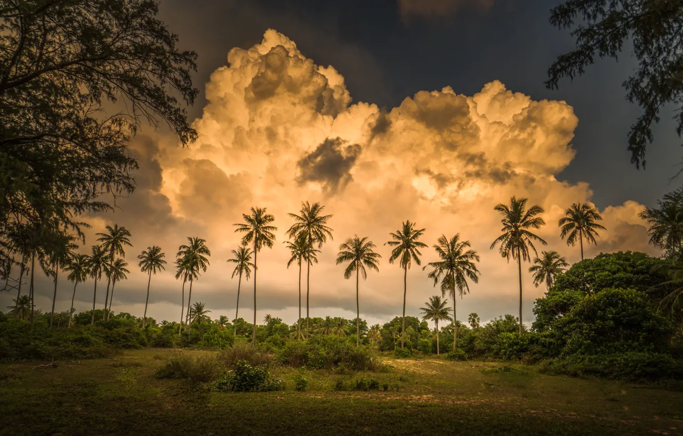 Photo wallpaper clouds, tropics, palm trees, Thailand