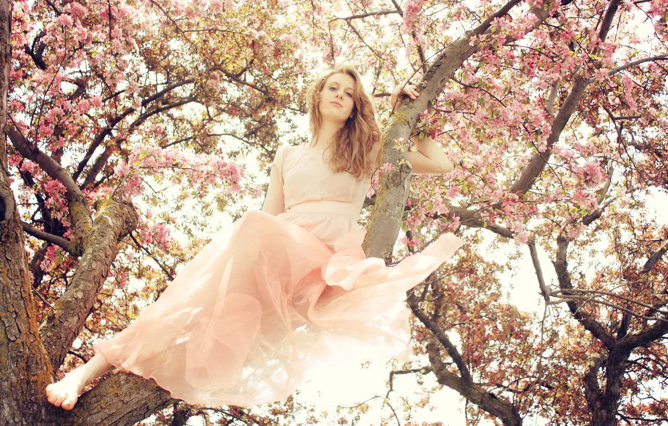Photo wallpaper girl, the sun, trees, flowers, hair, dress