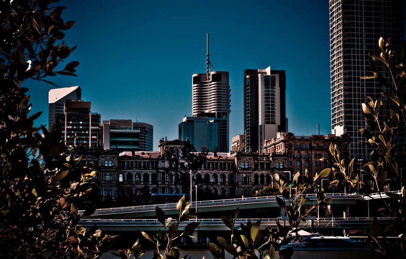 Photo wallpaper trees, Marina, Covalco, freeway
