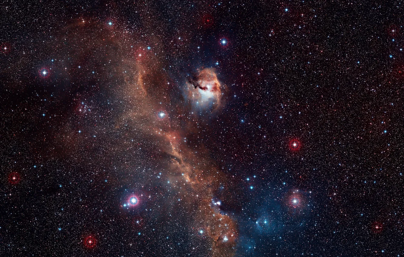 Photo wallpaper NGC 2327, HD 53367, Constellations Monoceros, IC 2177, The Seagull Nebula, Canis Major