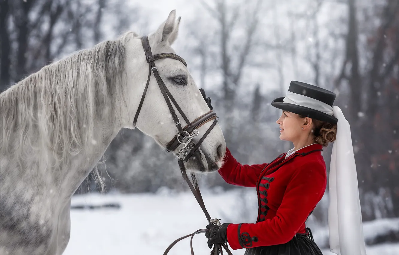 Photo wallpaper winter, girl, animal, horse, Yulia Busygina