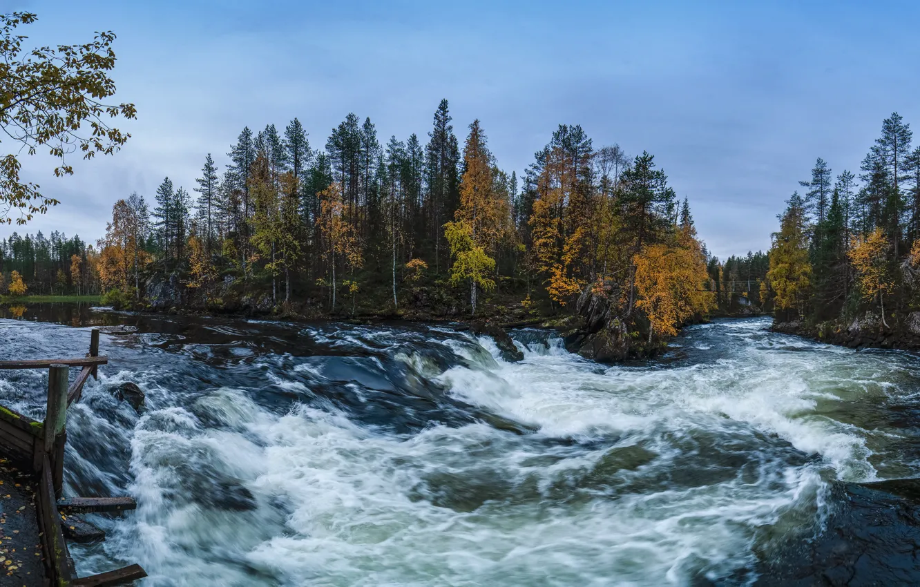 Photo wallpaper autumn, forest, trees, river, Finland, Finland, In Kuusamo, Kuusamo