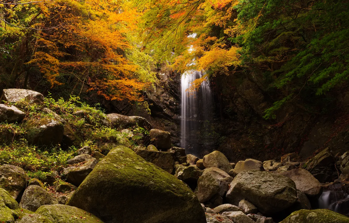 Photo wallpaper autumn, forest, leaves, trees, rock, stones, waterfall, moss