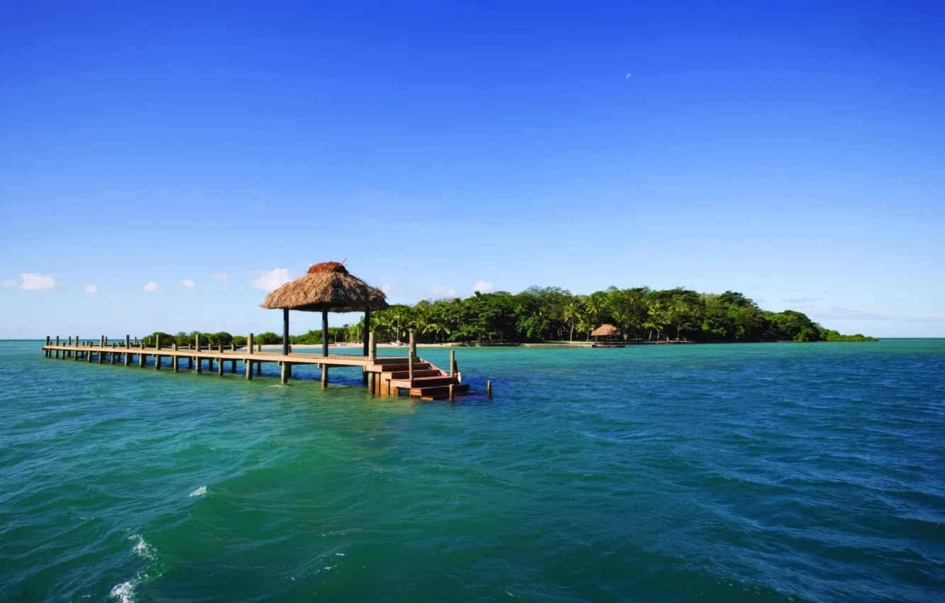 Photo wallpaper palm trees, the ocean, island, pier, exotic, Fiji Islands, dolphin island