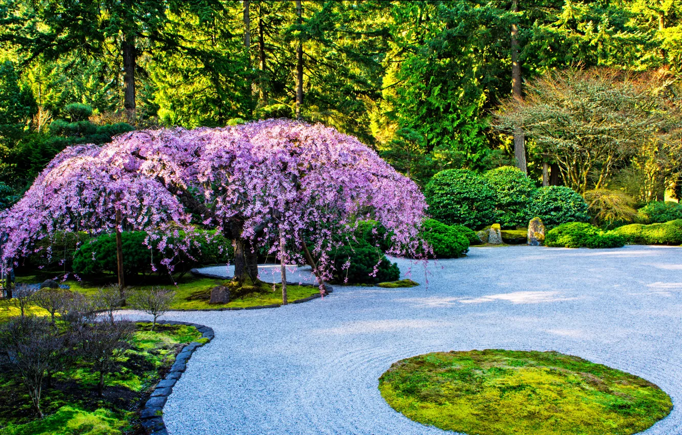 Photo wallpaper trees, design, garden, USA, the bushes, Portland, Japanese Garden