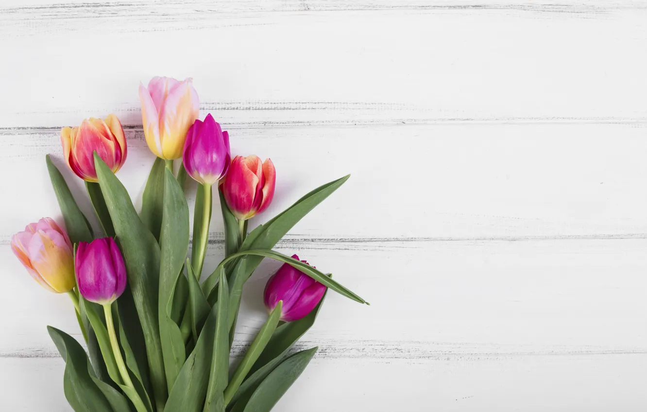 Photo wallpaper flowers, colorful, tulips, pink, wood, pink, flowers, tulips