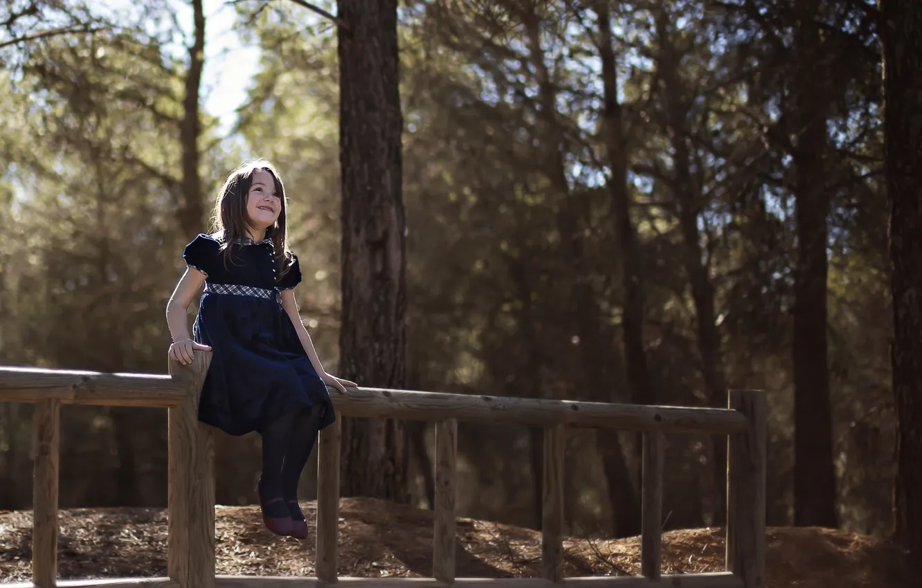 Photo wallpaper background, the fence, girl
