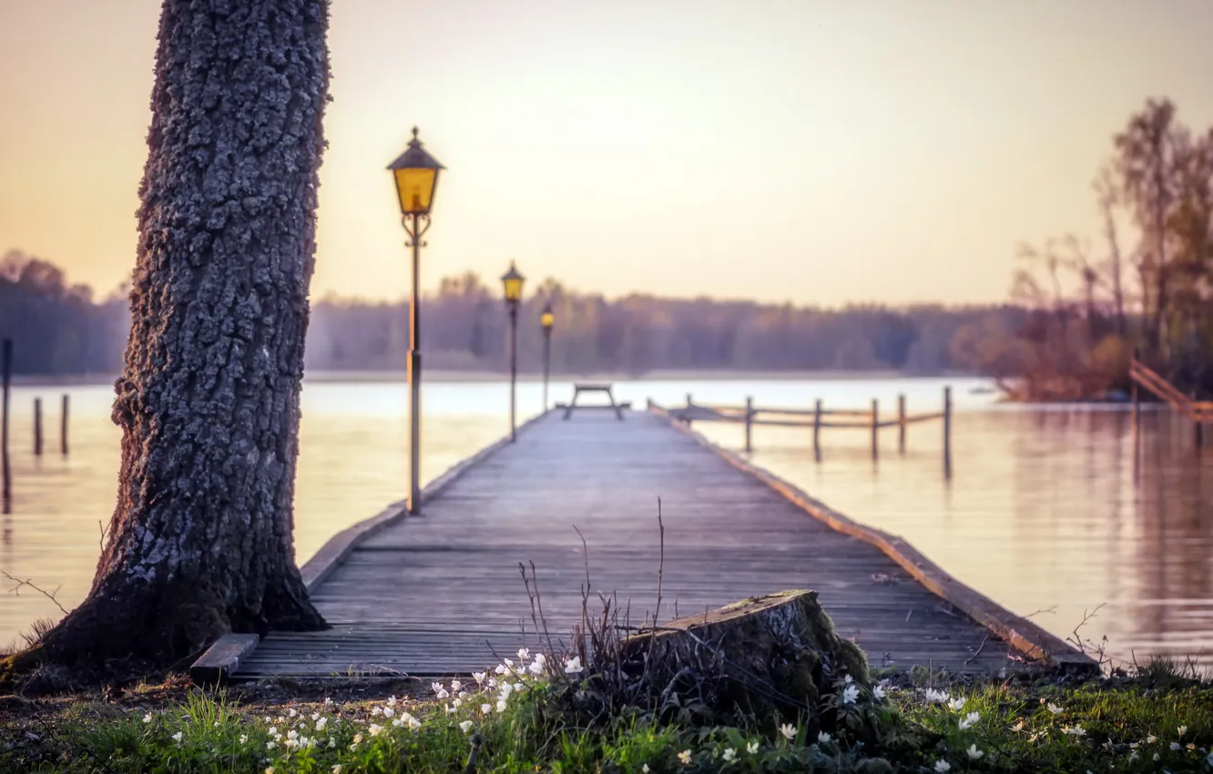 Photo wallpaper landscape, bridge, lake