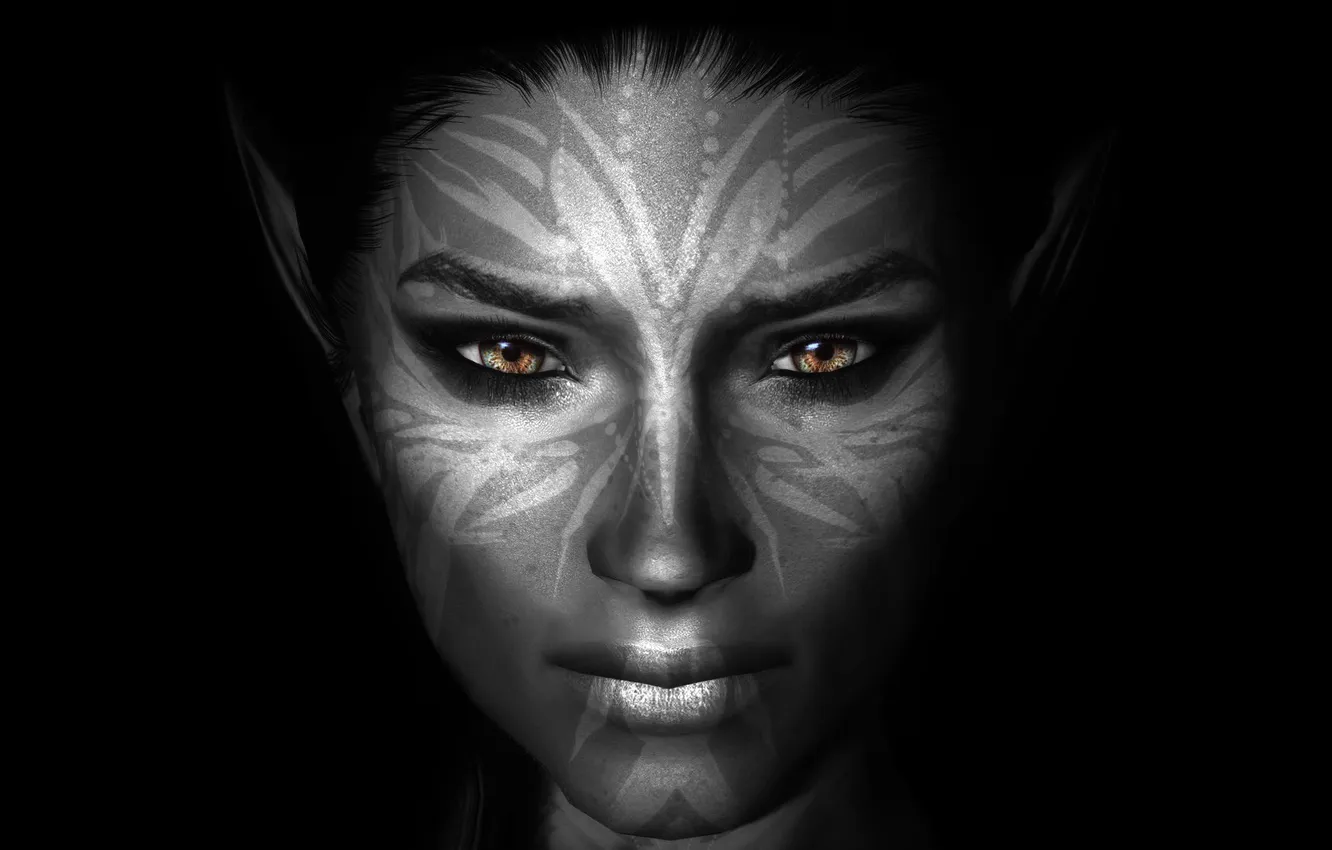 Photo wallpaper girl, face, the dark background, coloring, Skyrim