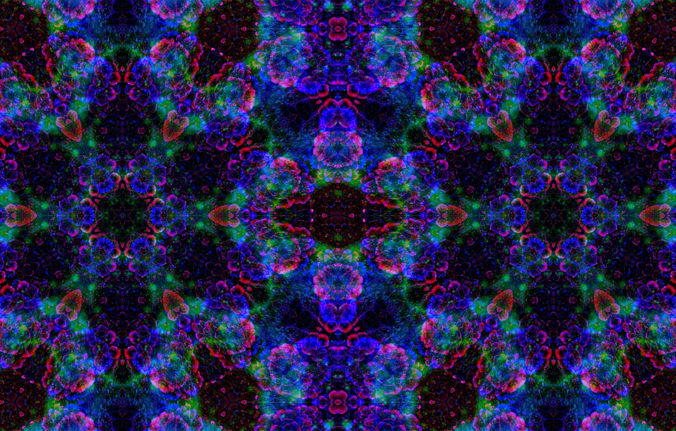 Photo wallpaper wallpaper, beautiful, color, beautiful wallpapers, zibabin