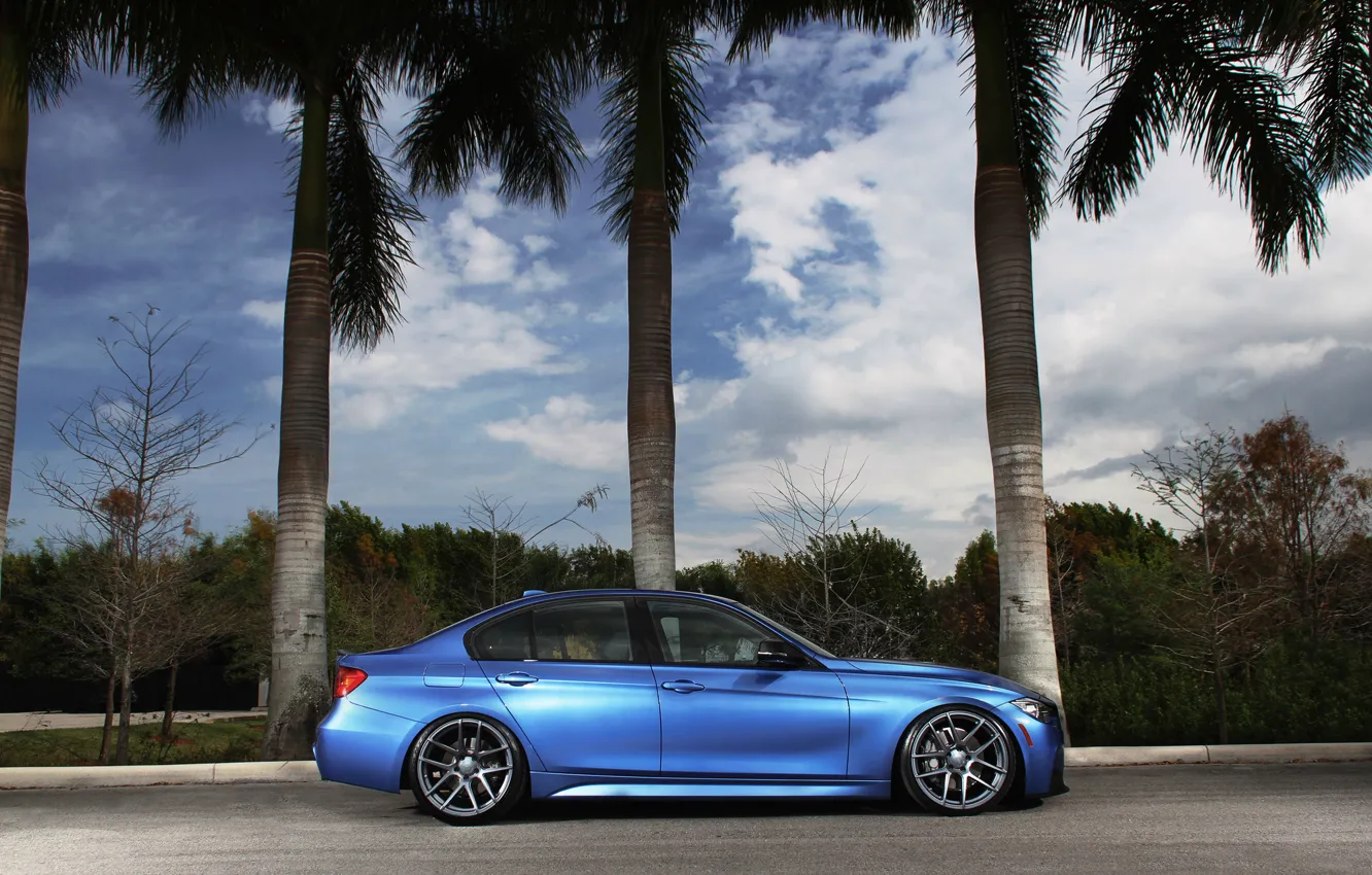 Photo wallpaper blue, tuning, BMW, BMW, profile, blue, tuning, F30