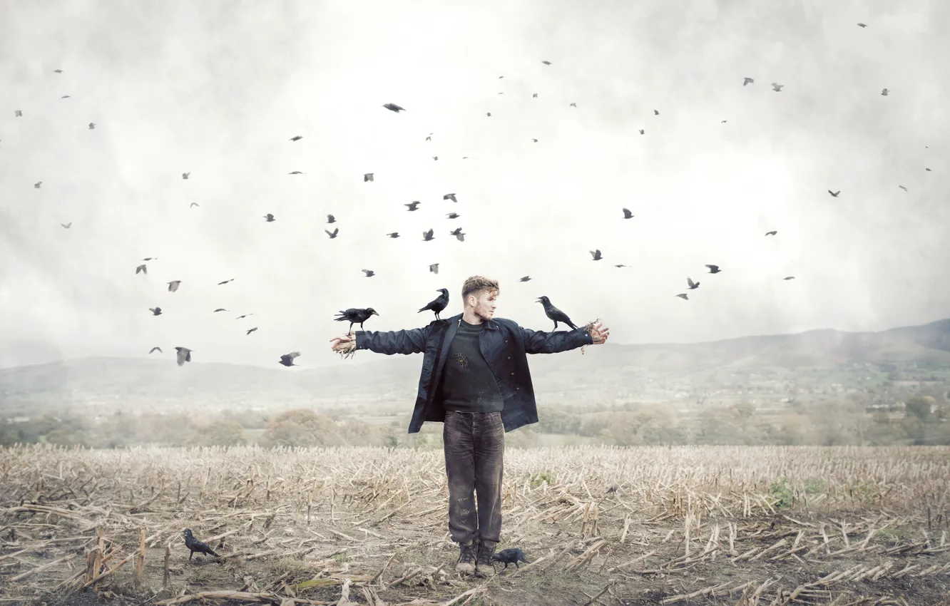 Photo wallpaper field, bird, people