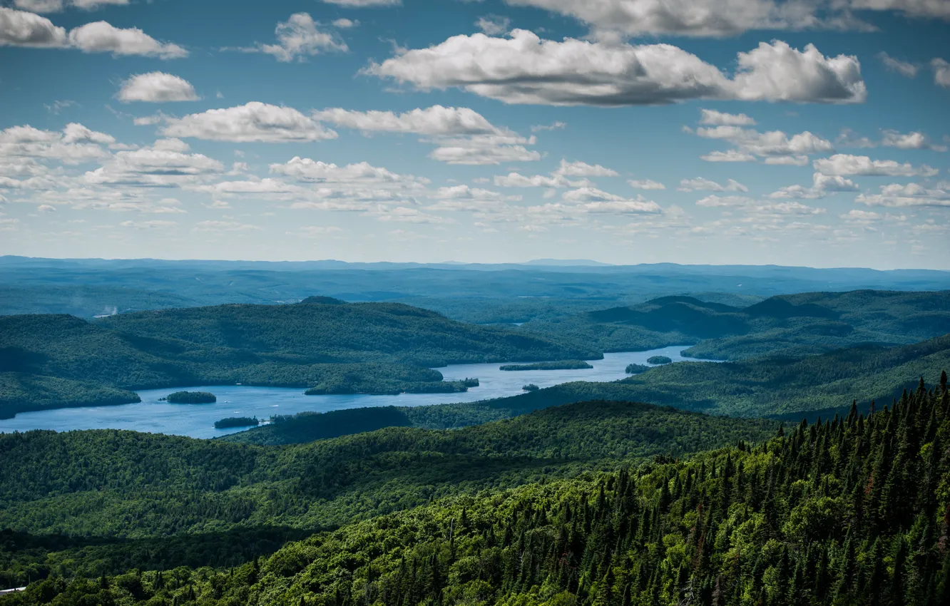 Photo wallpaper forest, the sky, clouds, river, hills