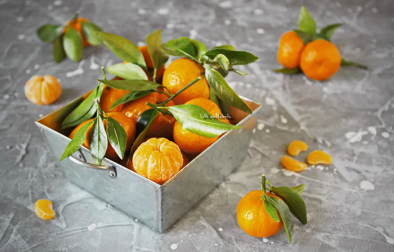 Photo wallpaper leaves, citrus, twigs, tangerines