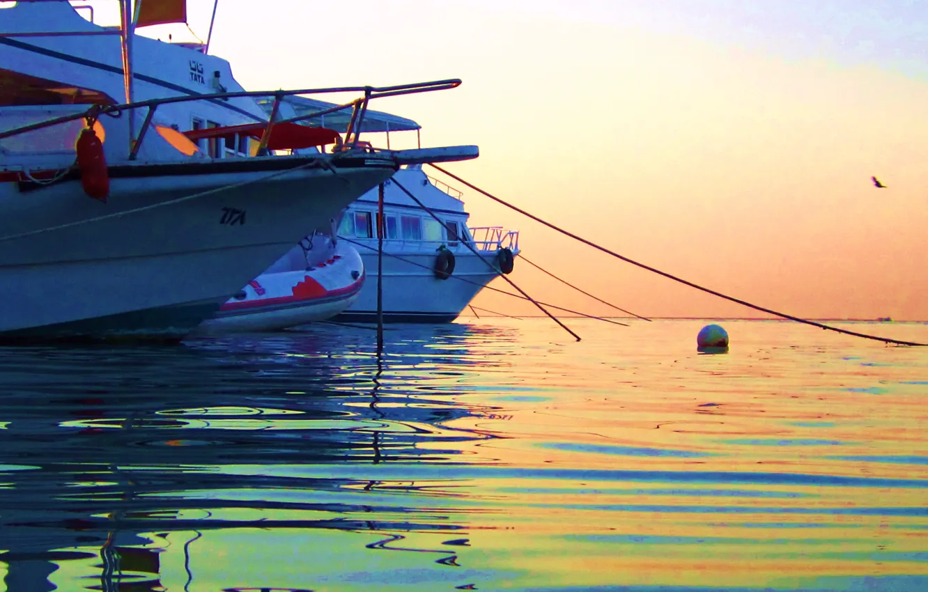 Photo wallpaper sea, wave, yacht, morning.