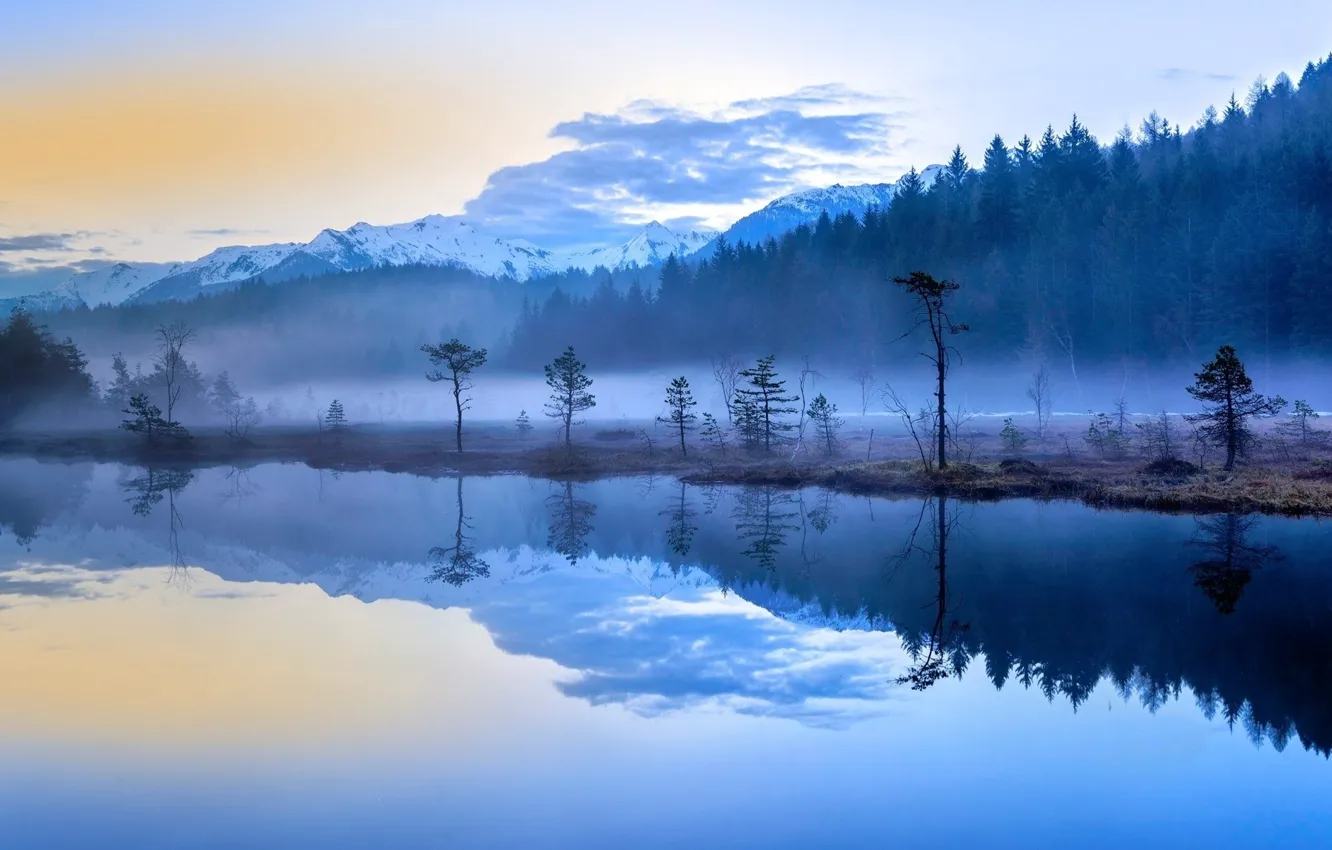 Photo wallpaper forest, trees, lake, fog, Morning